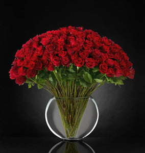 Flowers - Breathless Luxury - Bulgarian Red Roses