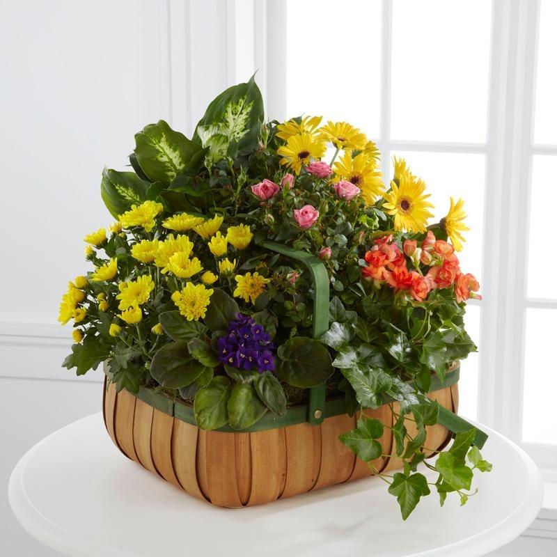 Flowers - Gentle Blossoms Basket